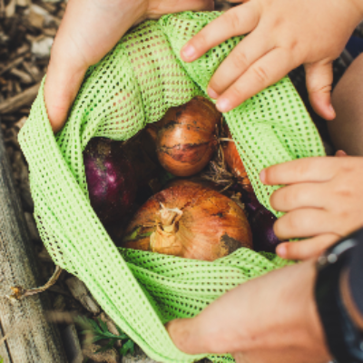 Organic Fertilizers Exporters, Wholesaler & Manufacturer | Globaltradeplaza.com