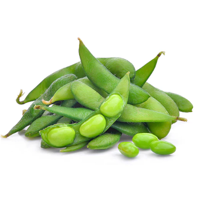 Soybean Seeds Exporters, Wholesaler & Manufacturer | Globaltradeplaza.com