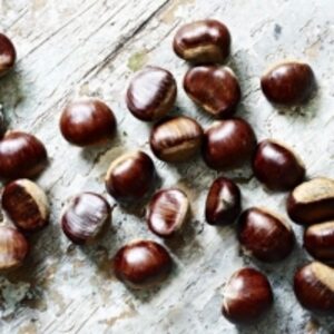 resources of Chestnut For Sale exporters