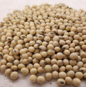 resources of Soybean exporters