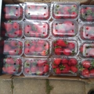resources of Strawberry exporters