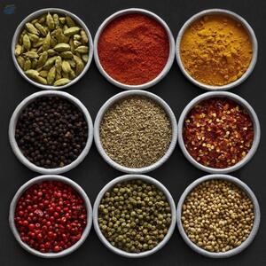 resources of Spices exporters