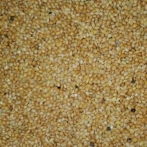 resources of Yellow Millet exporters