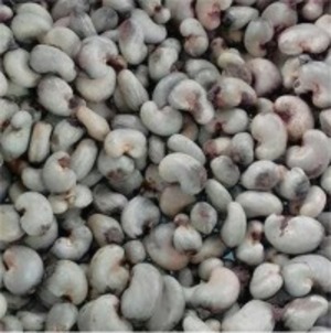 resources of Cashew Nuts exporters