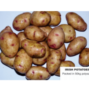resources of Potatoes exporters