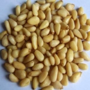 resources of Natural Pine Nut exporters