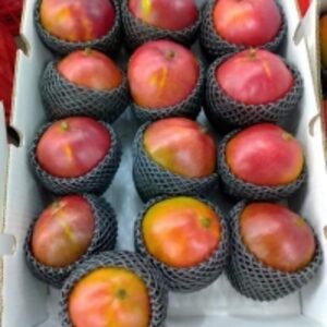 resources of Apple exporters