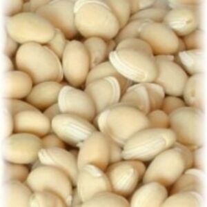 resources of Val Beans exporters