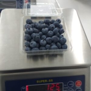 resources of Fresh Blueberries exporters