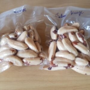 resources of Brazil Nut From Peru exporters