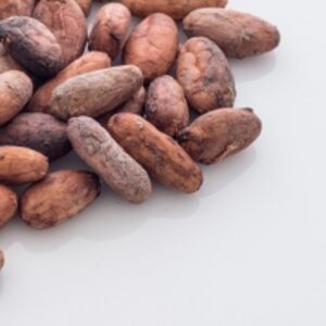 resources of Cocoa Beans exporters