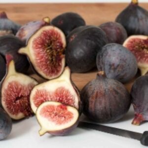 resources of Fig exporters
