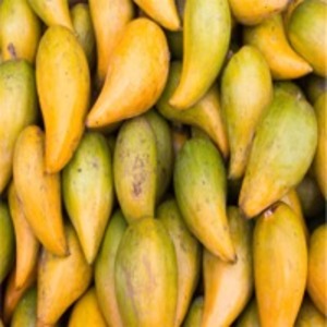 resources of Lucuma exporters
