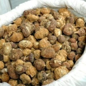 resources of Yellow Maca Dried Root exporters