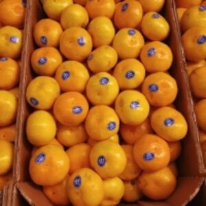 resources of Mandarin exporters