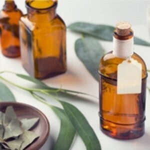 resources of Eucalyptus Essential Oil exporters