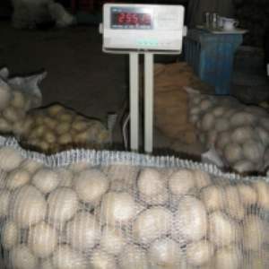 resources of Potatoes exporters
