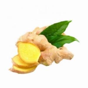 resources of Fresh Ginger exporters