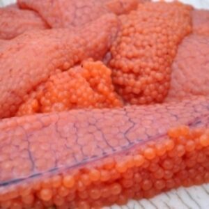 resources of Frozen Salmon Roe exporters