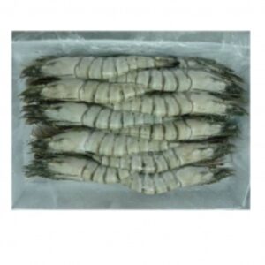resources of Frozen White Tiger Shrimp exporters