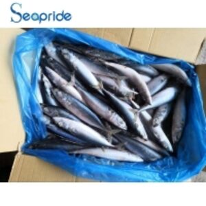 resources of Chinese Mackerel Fish Product exporters