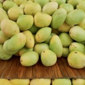 resources of Fresh Mangoes exporters