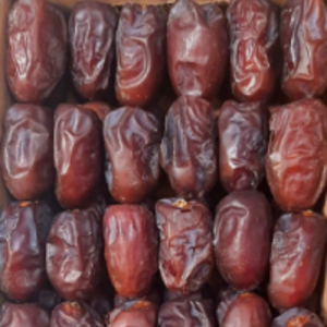 resources of Dates exporters