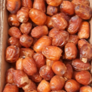 resources of Dates exporters