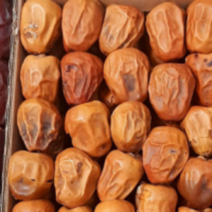 resources of Dates exporters