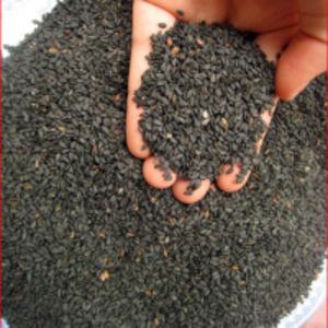 resources of Natural Black Sesame Seeds exporters