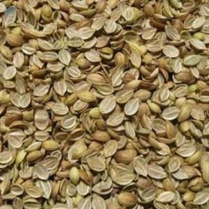resources of Coriander Split Seeds exporters