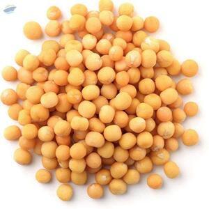 resources of Yellow Peas - For Animal Feed exporters