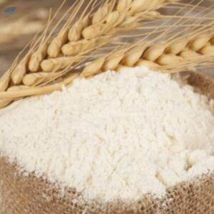 resources of Wheat Starch exporters