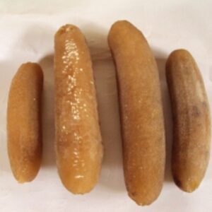 resources of Dried Sea Cucumber exporters