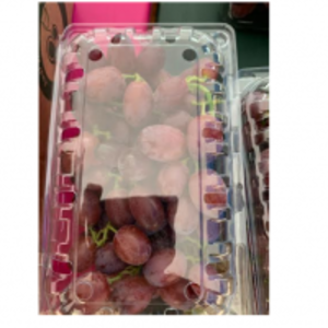 resources of Table Grapes exporters