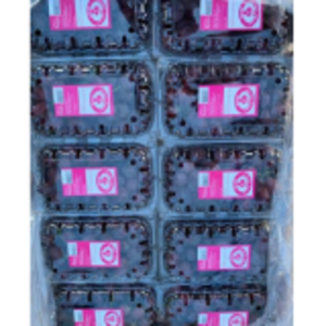 resources of Table Grapes exporters