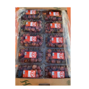 resources of Table Grapes exporters