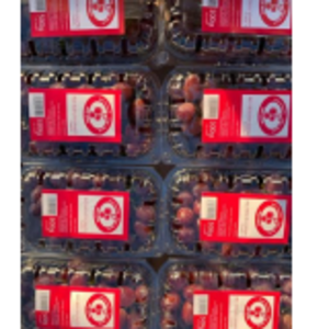 resources of Table Grapes exporters