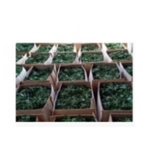 resources of Molokhia exporters