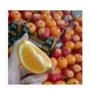 resources of Valencia Orange exporters