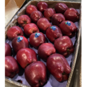 resources of Apple exporters