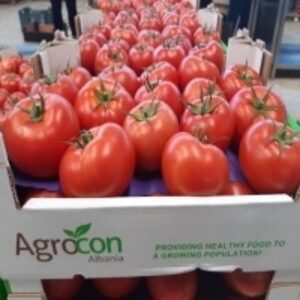 resources of Fresh Tomato exporters