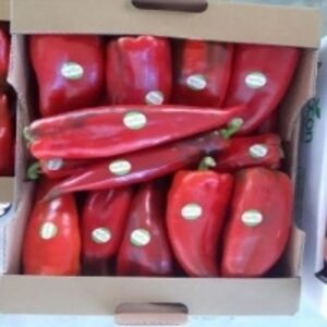 resources of Fresh Pepper exporters