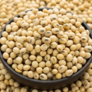 resources of Soybean Nogmo Or Gmo exporters