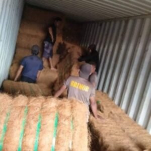 resources of Coconut Fiber exporters