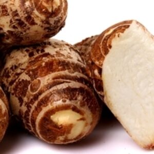 resources of Eddo / Taro exporters