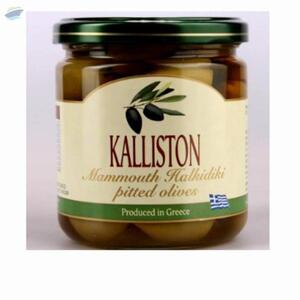 resources of Bio Green Pitted Olives exporters