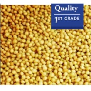 resources of Amaranth Seeds exporters