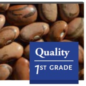 resources of Carioca Beans exporters