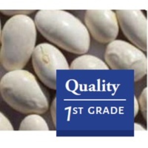 resources of Imperio Round Beans exporters